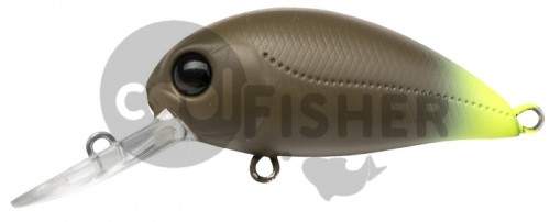  PONTOON21 Hypnose 38F-MDR, 38., 4 ., .  1,2 .,  R47