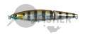 PONTOON21 Pacer, 2-x ., ., 75., 6.2., 0.5-1.0 ., 007