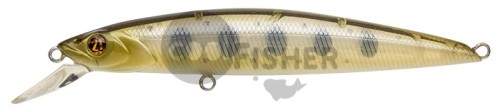  PONTOON21 Cablista 105F-SR, 105, 13.6 ., 0.4-0.5 ., 351 Natural Yamame YE