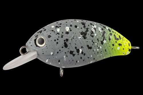  TsuYoki AGENT 36F L106