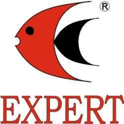  EXPERT
