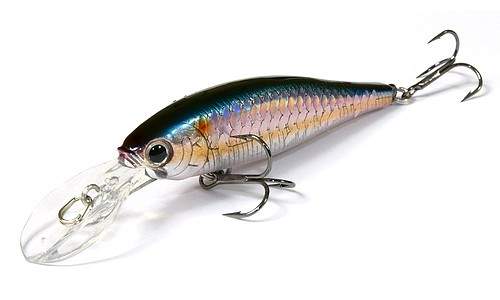  Lucky Craft Pointer 65DD-270 MS American Shad