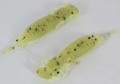   Fanatik Larva 3,5 (4)  022