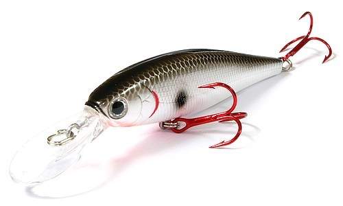  Lucky Craft Pointer 78DD-101 Bloody Or.Tennessee Shad
