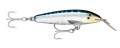  RAPALA Countdown Magnum 07 |WHU || 2,7-3,3, 7 12