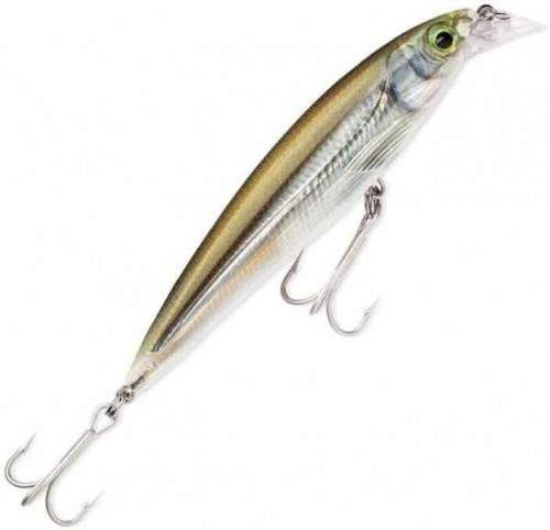  RAPALA X-Rap Saltwater 12 |MM || 1,2-2,4, 12, 22