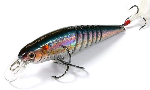 Live Pointer 80MR Live Pointer 80MR