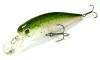  Lucky Craft Pointer 100-056 Rainbow Trout