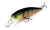  Lucky Craft Pointer 100-884 Aurora Gold Northern Perch