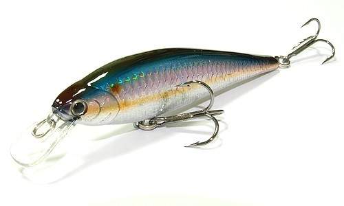  Lucky Craft Pointer 95-270 MS American Shad