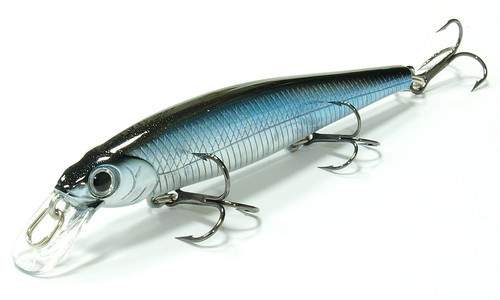 Slender Pointer 82MR