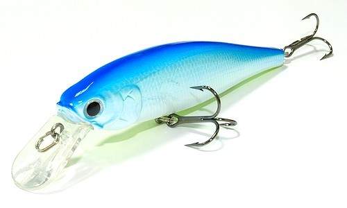  Lucky Craft Pointer 100-253 Citrus Shad