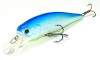  Lucky Craft Pointer 100-253 Citrus Shad