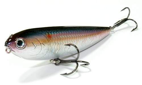  Lucky Craft Sammy 100-270 MS American Shad