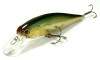  Lucky Craft Pointer 100-835 Aurora Dace Shad