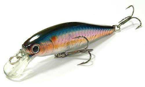  Lucky Craft Pointer 65-270 MS American Shad