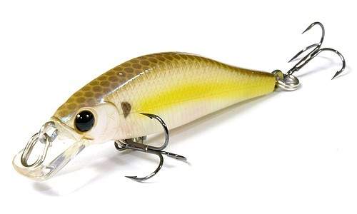 Humpback Pointer Watch 50S