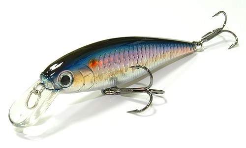 Lucky Craft Pointer 78-270 MS American Shad