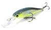  Lucky Craft Pointer 78DD-150 MS Crack
