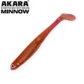  Akara Minnow 70 413 (4 .)