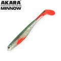  Akara Minnow 100 D14 (3 .)