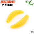   Akara Trout Time MAGGOT 1,3 Shrimp 446 (12 .)
