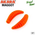   Akara Trout Time MAGGOT 1,3 Shrimp 100 (12 .)