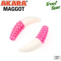   Akara Trout Time MAGGOT 1,6 Tu-Frutti 451 (10 .)