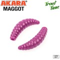   Akara Trout Time MAGGOT 1,3 Shrimp 459 (12 .)