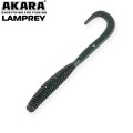  Akara Lamprey 45 422 ( 10 .)