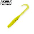  Akara Lamprey 45 K002 ( 10 .)