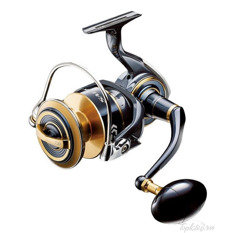 Daiwa 20 Saltiga