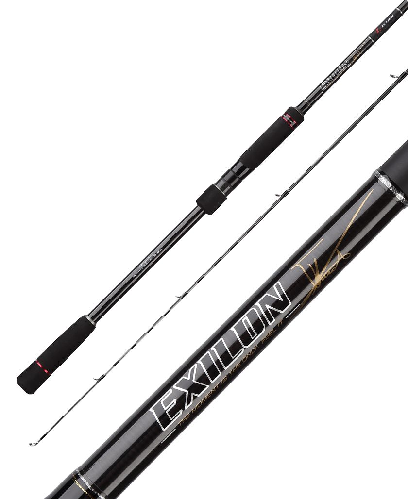 Zetrix Exilon Casting