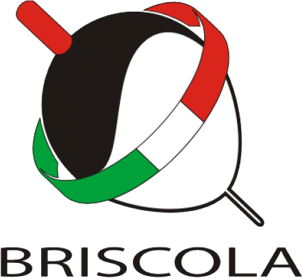  Briscola