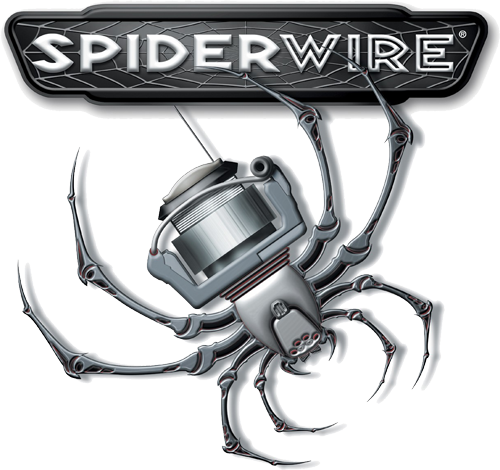  Spiderwire
