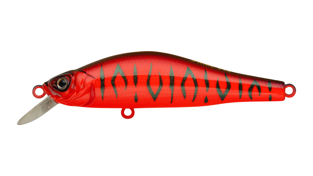 Arc Minnow Archback 100SP