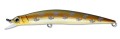  Fishycat Libyca 110SP-X08