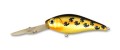  Fishycat Deepcat 73F SDR-X08