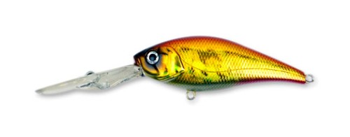  Fishycat Deepcat 73F SDR-R15