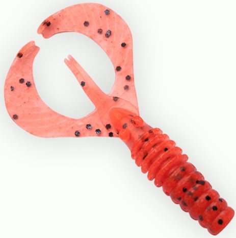   Fanatik Lobster 2,2 (8)  023