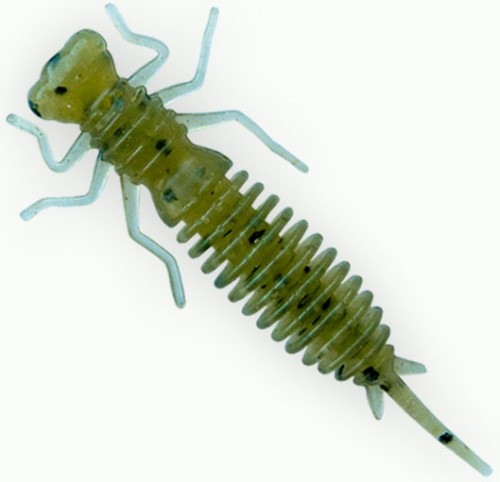   Fanatik Larva 1,6 (10)  001