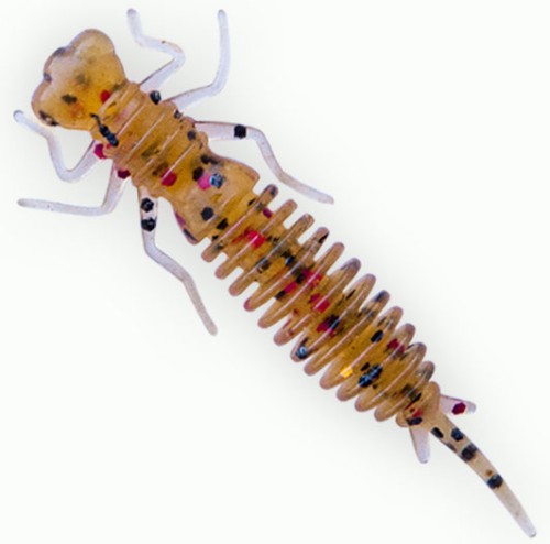   Fanatik Larva 3 (6)  003