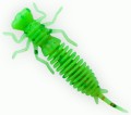   Fanatik Larva 2 (8 )  020