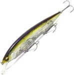  Megabass Kanata 16  30 ht ito tennessee shad