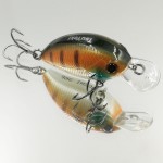  TsuYoki AGENT 36F 057