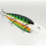 ������ TsuYoki SOLOIST 120F 818