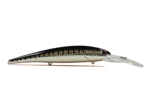  HITFISH TR Deep 120  12 20  8  .  color 307