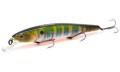  Kosadaka Squad XS  128SP . 128 22.1  0-1 . SquadxS128SP-PNT