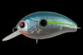  TsuYoki AGENT 36F 1003