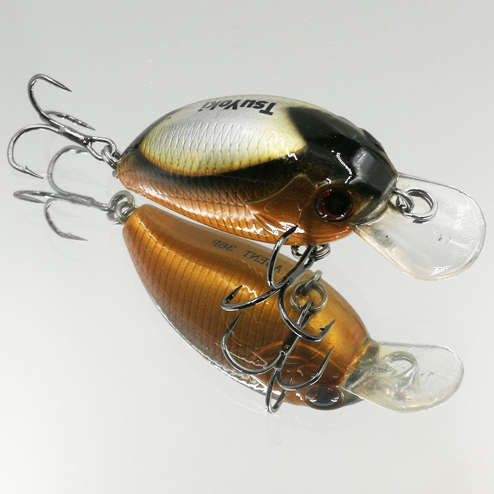 TsuYoki AGENT 36F SD001